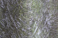 Mileham fibreglass roof work